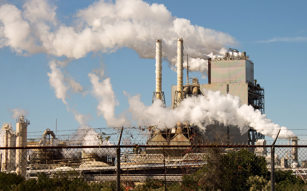 Chemical wastewater contaminated with biodegradable substances is usually biologically treated Chemical wastewater contaminated with biodegradable substances is usually biologically treated